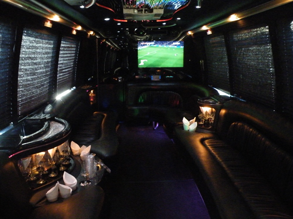 TV in Party Bus 30 Pax 
