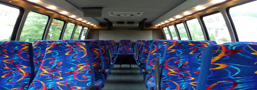 24 30 Pax Mini Bus Luxury Seats